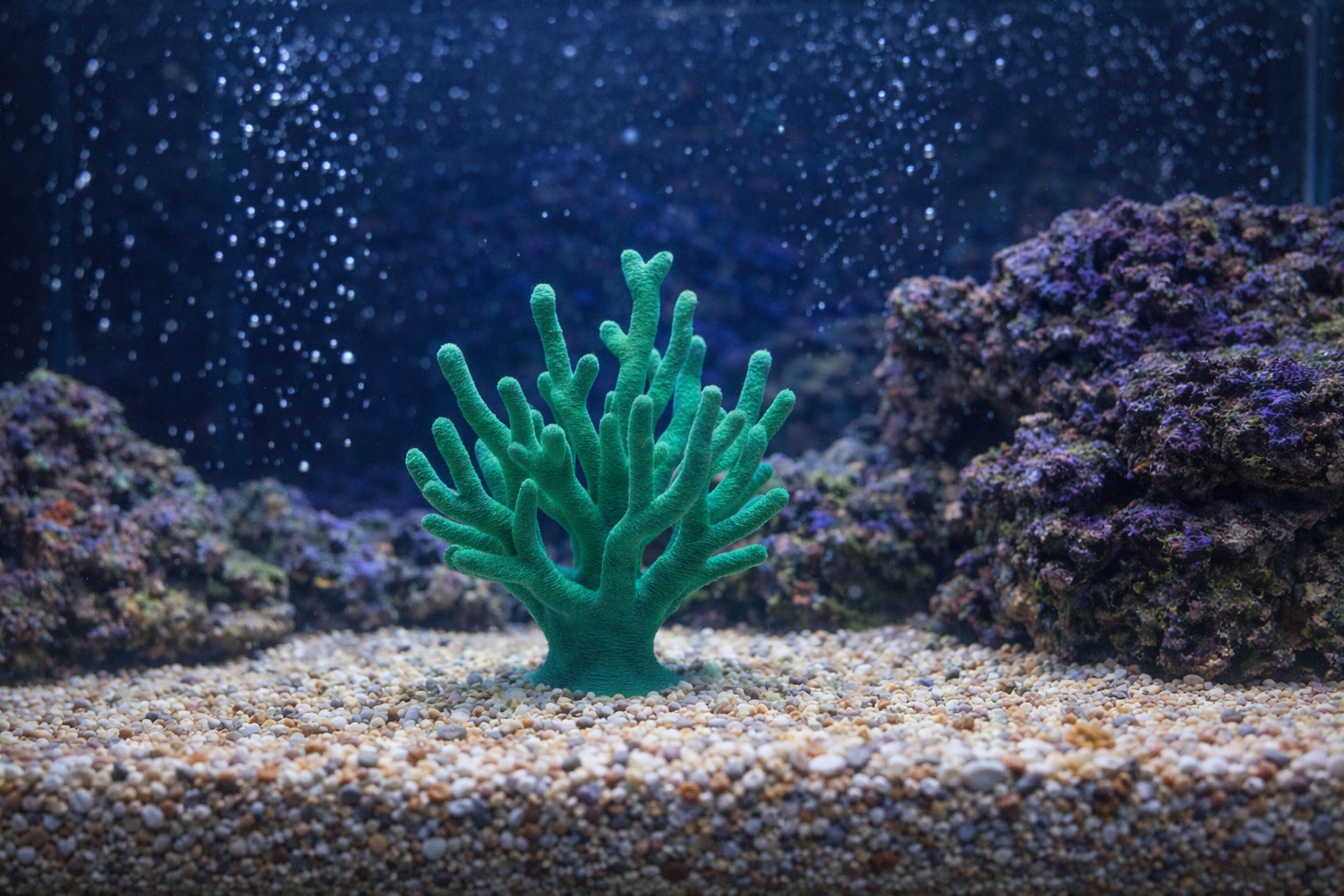 Aquarium Decoration - Custom underwater themed piece